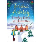 Twelve Days of Christmas         {USED}